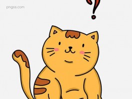 猫咪种类和价格：探索不同品种的魅力与价值