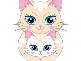 布偶猫一个月花多少钱：养猫成本详细解析