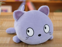 一只小猫咪多少钱：揭秘猫咪价格与价值