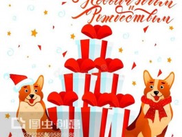 三个月法斗食量：合理喂养，助力健康成长
