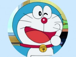 猫咪飞机托运多少钱：费用解析与注意事项
