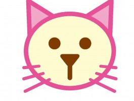 猫咪舔你代表什么？揭秘猫咪这种行为背后的意义