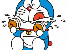 寄养猫咪一个月多少钱：了解费用与注意事项