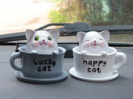加菲猫三个月正常体重：健康成长的关键指标