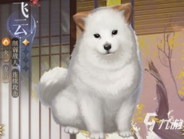 金毛5个月吃多少狗粮？养宠必备指南