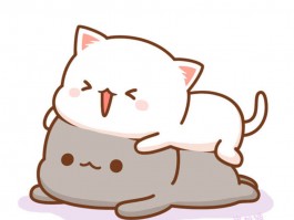 如何吸引猫咪主动过来：掌握猫咪心理的秘诀