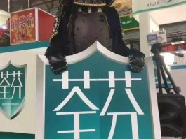 狗狗头痒：找出原因与解决方法