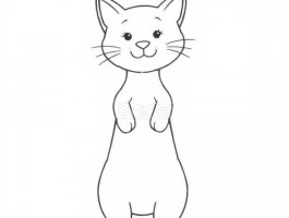 一个月小奶猫怎么养：新手养猫攻略