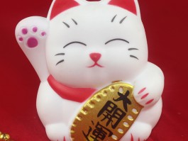 两个月大德牧：成长指南与保健建议