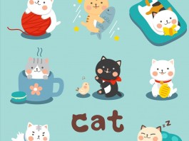 猫脚毛特别长什么原因？揭秘背后的真相
