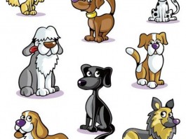 萨摩2个月多重：了解幼犬成长的关键指标