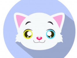 比熊四个月的长相：了解幼犬的成长变化