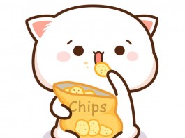 土狗几个月换牙：了解宠物换牙期的护理要点