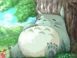 两个月小猫呕吐：原因分析与应对措施