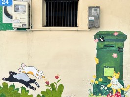 宠物猫发光翅膀是什么原因