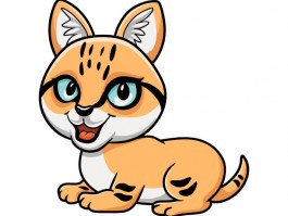 猫咪什么时候做绝育