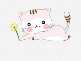 6个月猫咪正常体重：猫咪健康成长的秘密
