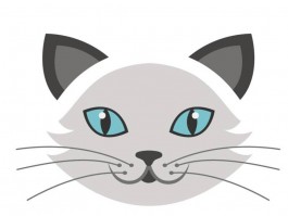 猫咪死胎原因：揭秘背后的真相