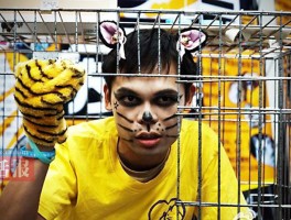 猫咪的作息时间：揭秘猫咪的生物钟