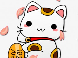 睡觉猫咪：探索猫咪的睡眠奥秘