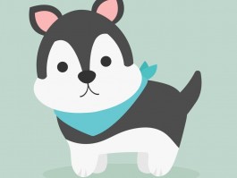 金毛如何看几个月：金毛犬成长周期解析