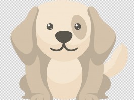 狗怀一个月：了解犬类怀孕初期的关键知识