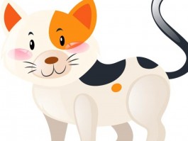 五个月德牧欣赏：成长中的魅力展现