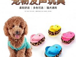 狗狗脑积水：了解症状、诊断与治疗