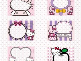 感觉猫咪鼻子不舒服：找出原因与解决方法