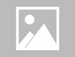 金毛三个月毛色：了解成长变化与护理要点