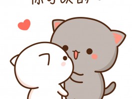 无毛猫异瞳是什么原因？揭开这一神秘现象的真相