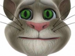宠物回血回魔是什么原因？揭秘背后的真相
