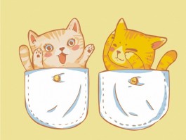 猫咪为什么不喜欢水