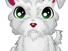三个月小猫在床上撒尿：原因分析与解决方法