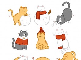 猫咪便秘感：原因、症状与解决方法
