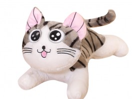 标题：猫咪训练学校——打造聪明伶俐的宠物猫