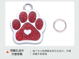 标题：宠物店猫咪洗澡流程——让你的猫咪享受专业护理