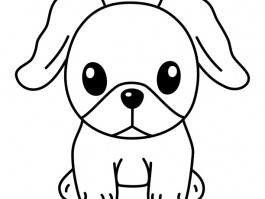 三个月前打了狂犬疫苗：您需要了解的一切