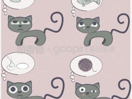 2个月萨摩幼犬：养护指南与常见问题解答