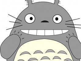 两个月小猫不吃东西：原因分析与解决办法