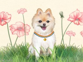 猫沉睡是什么原因