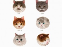 猫咪上火了吃什么药？宠物医生的科学建议