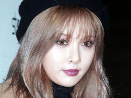 一个月秋田犬幼犬：健康成长指南