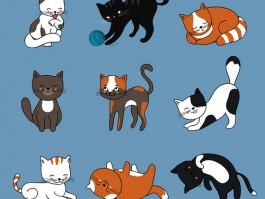 猫咪牙膏：为您的爱猫带来清新口气的秘密武器