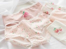 3个月阿拉斯加多大：了解幼犬成长的关键时期