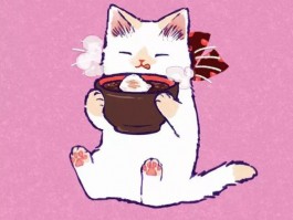 抚摸猫咪：了解猫咪喜好，增进人与宠物关系