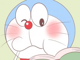 比特犬五个月：成长关键期的饲养指南