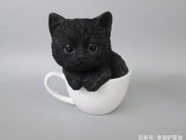 狗狗指甲多久剪一次？宠物医生的专业建议
