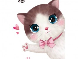 三个月美短猫怎么养：全方位护理指南