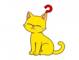 猫咪不能洗澡：揭秘背后的真相